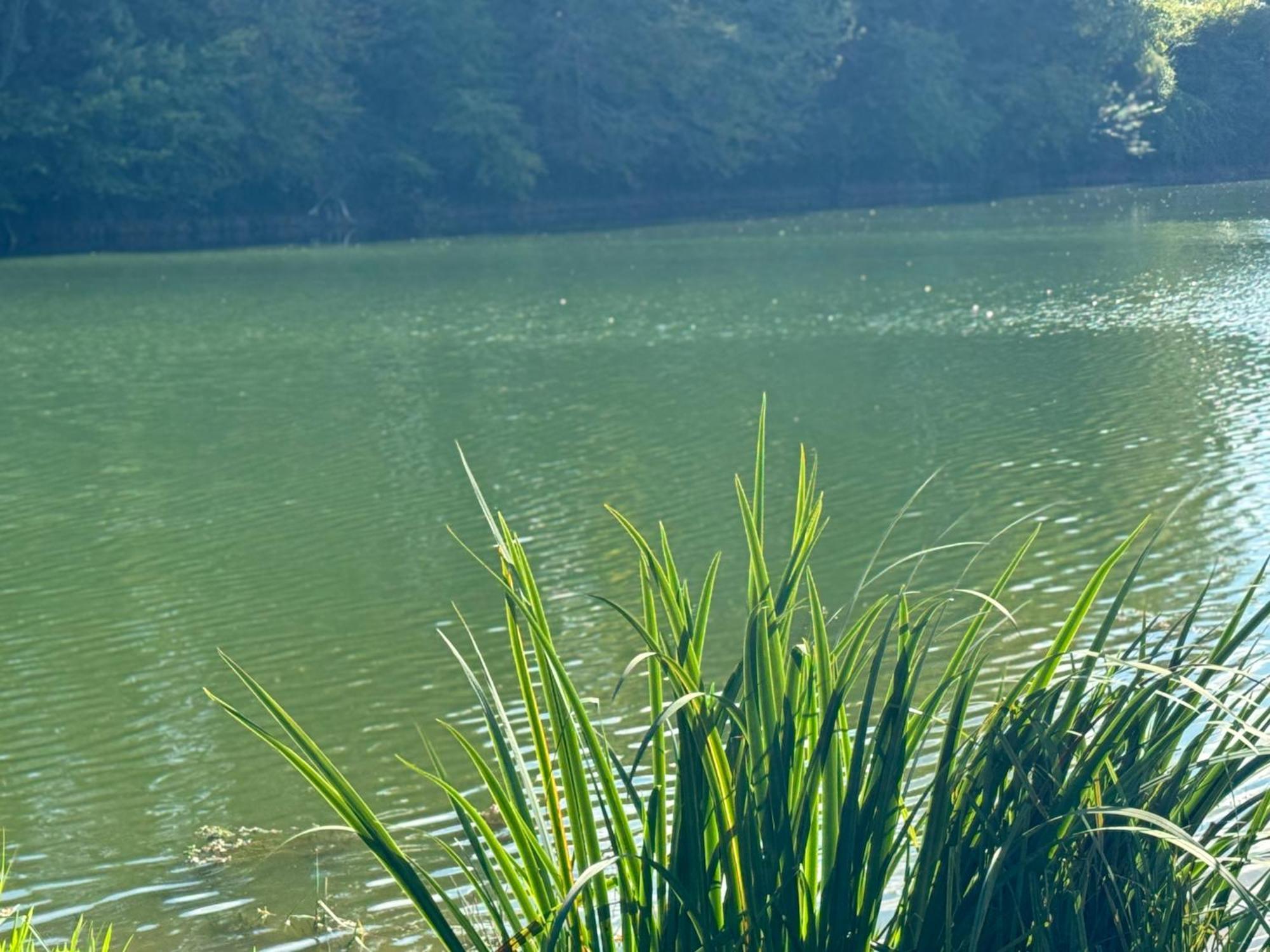 Lac De Lumiere. Relax With Rural Lakeside Living Herry Exteriér fotografie